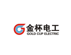 金杯水电