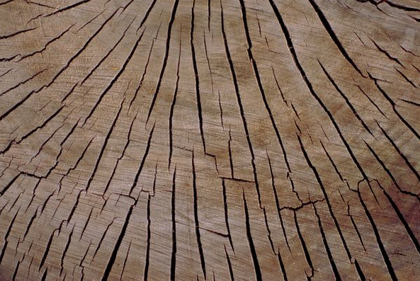 木材开裂的形式有哪些？怎么防止开裂？