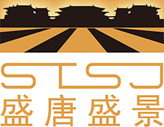 盛唐盛景
