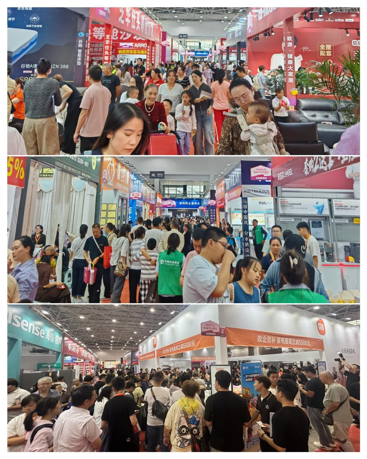图片1.jpg 图片1.jpg